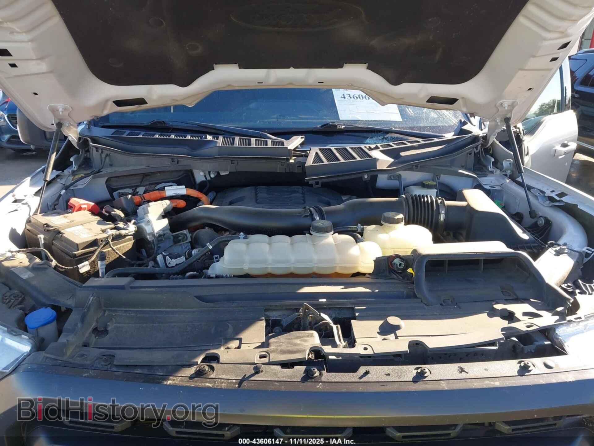 2021 FORD F-150 - VIN: 1FTFW1ED8MFD00169 - Фото 10