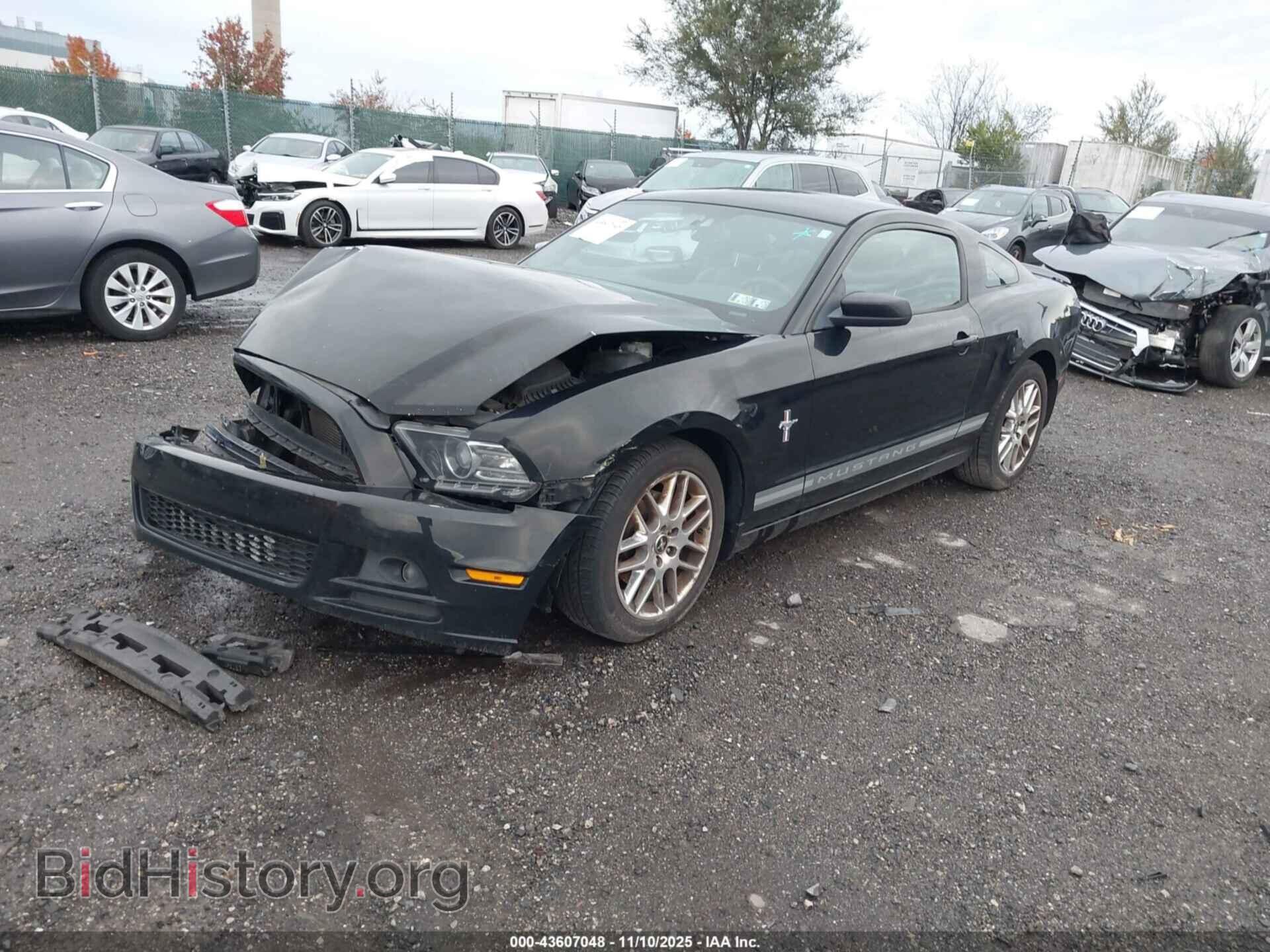 2013 FORD MUSTANG - VIN: 1ZVBP8AM6D5253379 - Фото 2