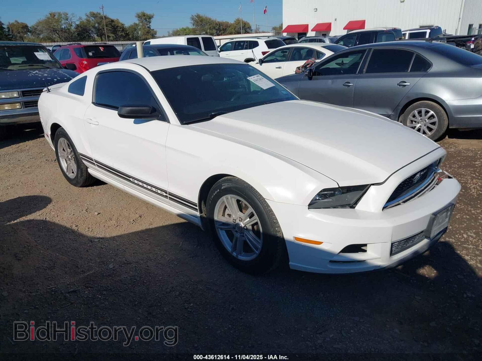 Фотография 1ZVBP8AM6D5259120 - FORD MUSTANG 2013