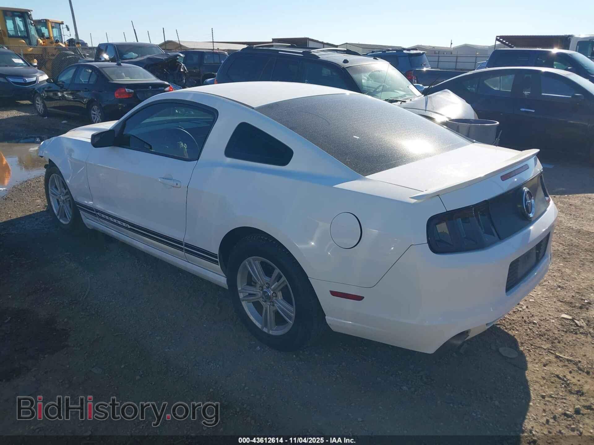 2013 FORD MUSTANG - VIN: 1ZVBP8AM6D5259120 - Фото 3