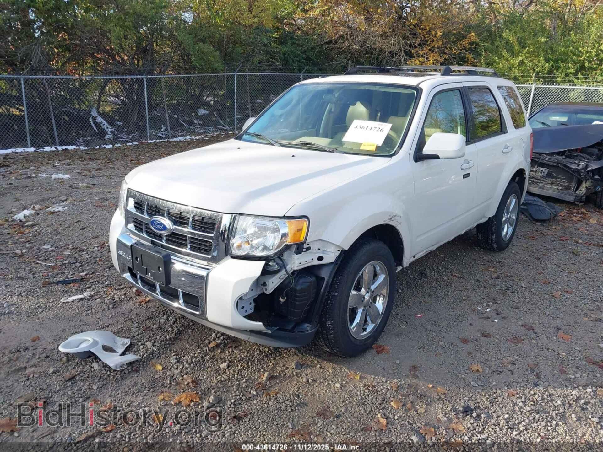 2011 FORD ESCAPE - VIN: 1FMCU0E71BKC03165 - Фото 2