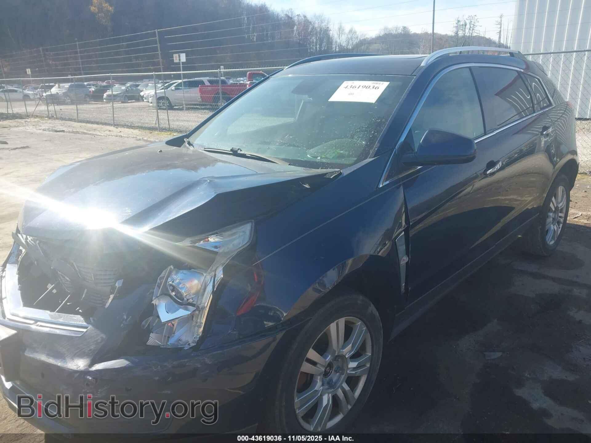 2011 CADILLAC SRX - VIN: 3GYFNAEY7BS508312 - Фото 2