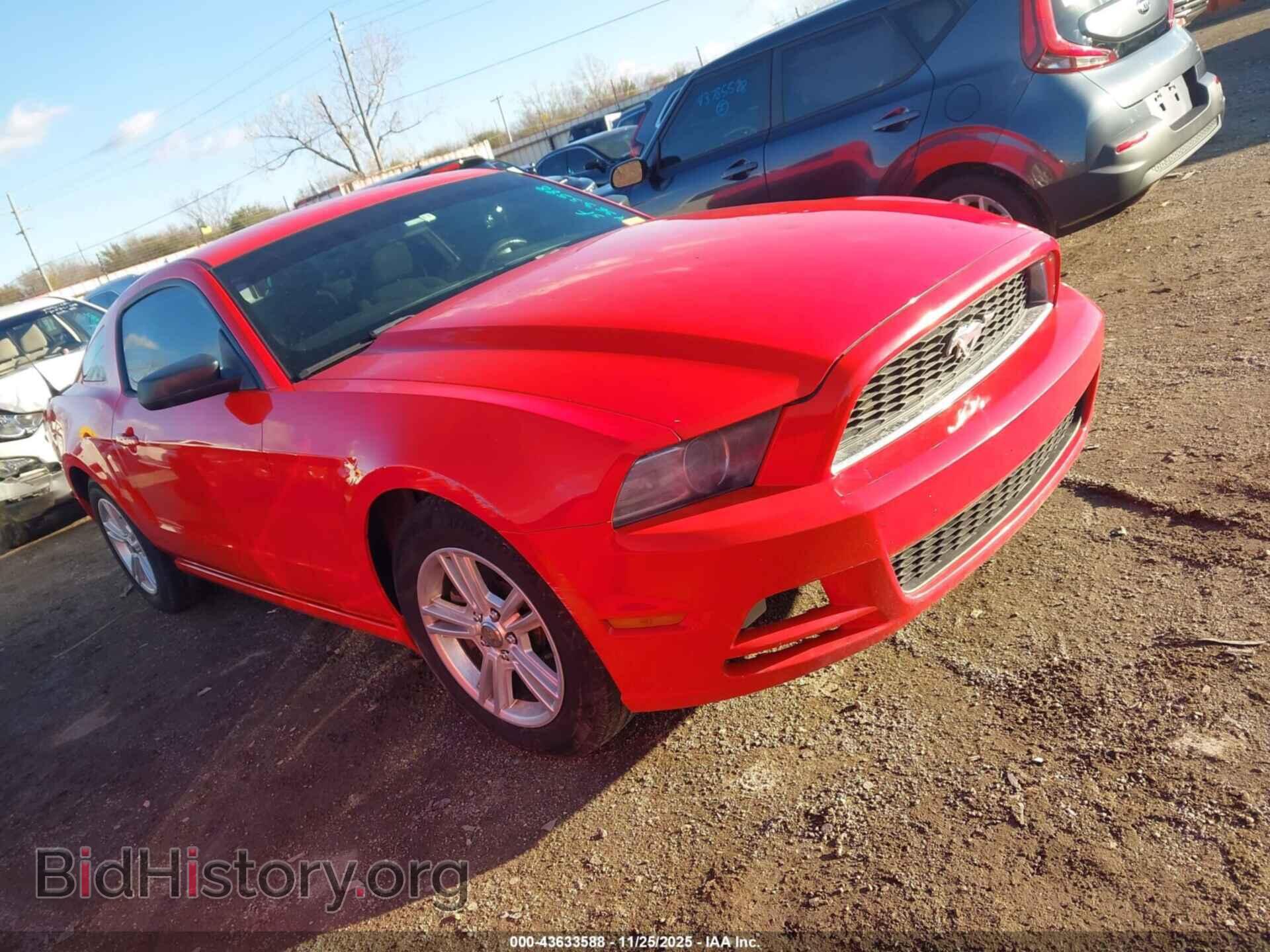 Фотография 1ZVBP8AM4E5229230 - FORD MUSTANG 2014