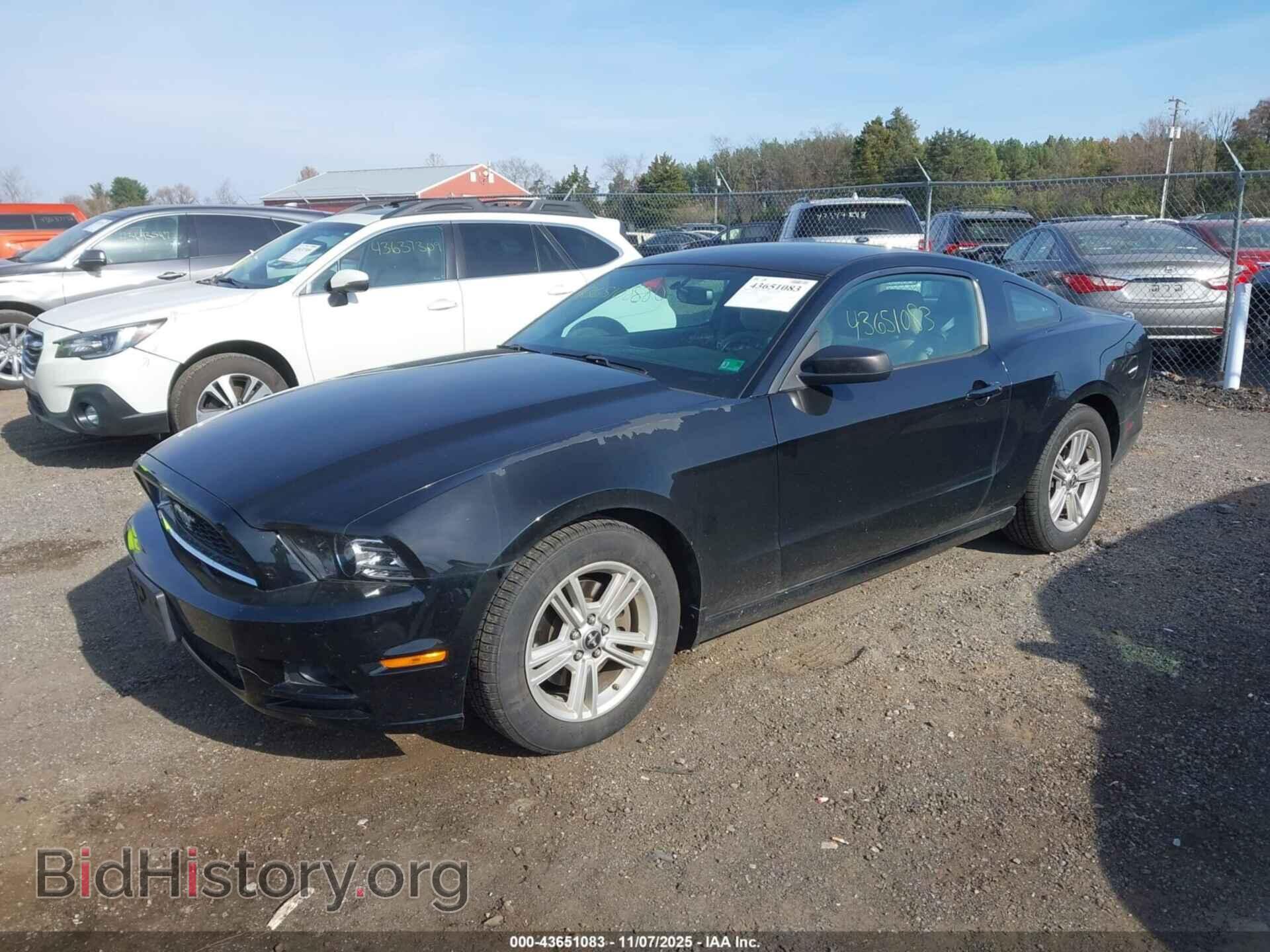 2014 FORD MUSTANG - VIN: 1ZVBP8AM8E5212236 - Фото 2