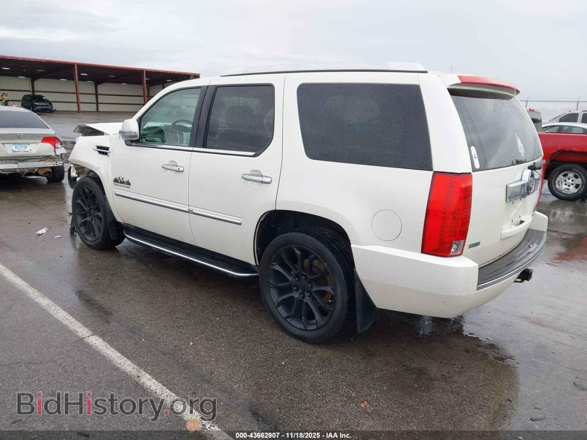 2011 CADILLAC ESCALADE - VIN: 1GYS4AEF3BR373123 - Фото 3