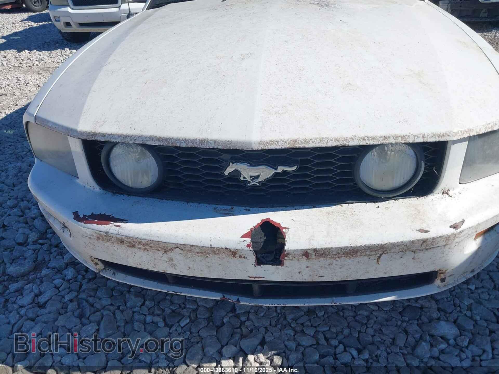 2006 FORD MUSTANG - VIN: 1ZVFT85H665220265 - Фото 6