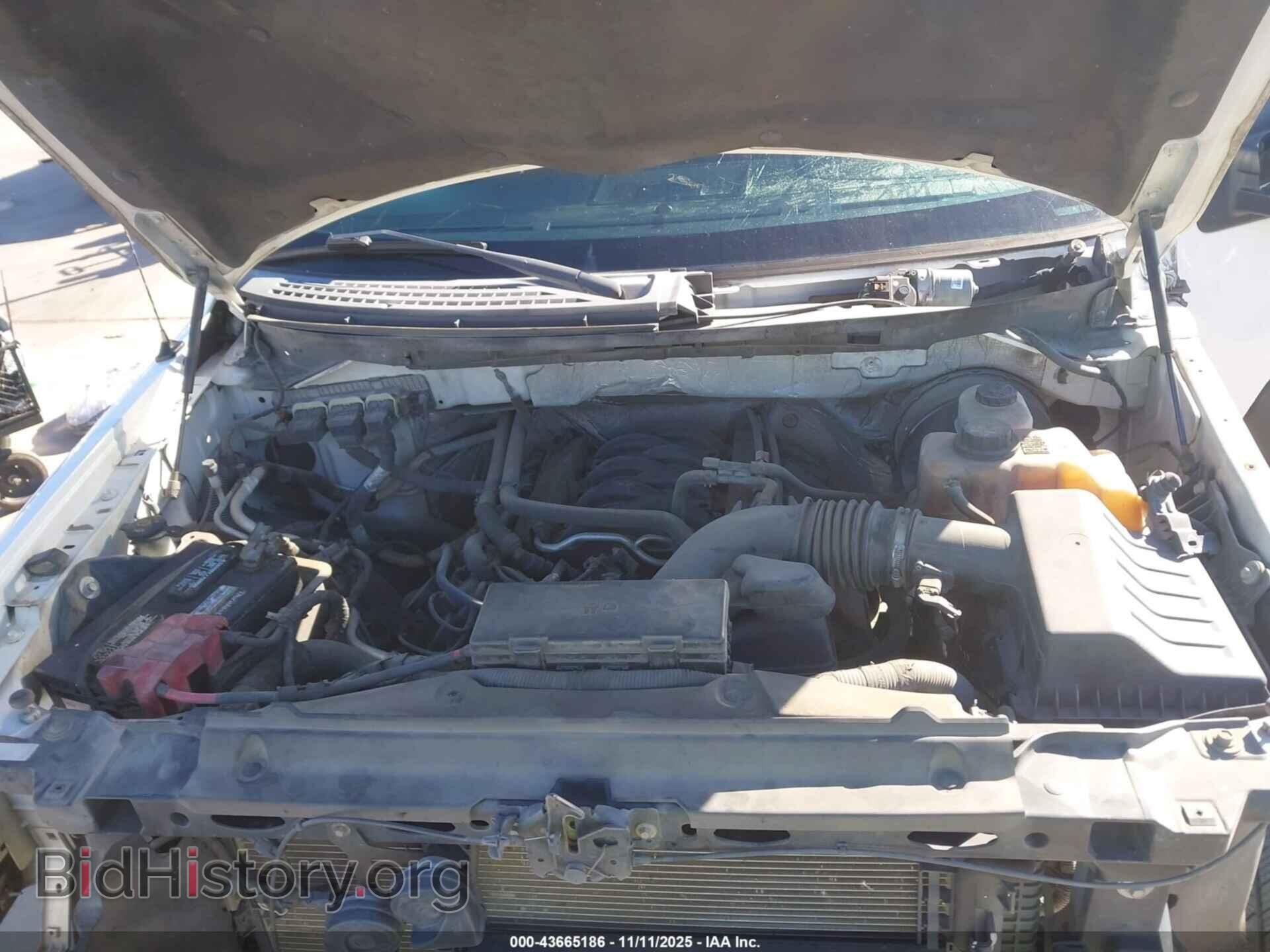 2013 FORD F-150 - VIN: 1FTFW1CF1DFA52951 - Фото 10