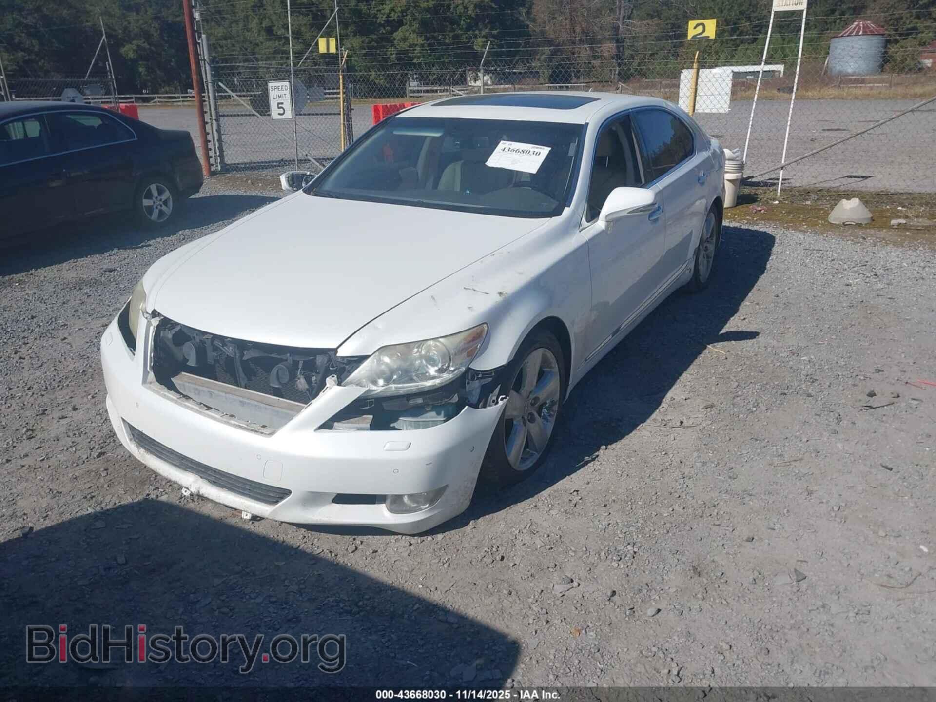 2010 LEXUS LS 460 - VIN: JTHGL5EF8A5037431 - Фото 6