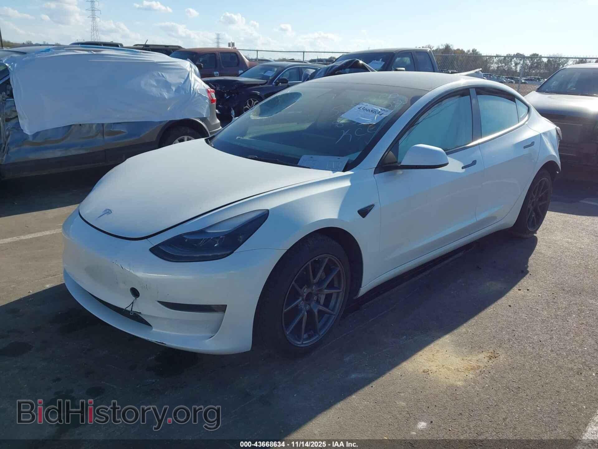 2023 TESLA MODEL 3 - VIN: 5YJ3E1EA4PF501409 - Фото 2