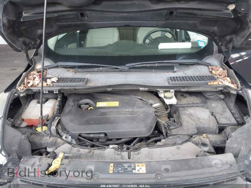 2014 Ford ESCAPE (VIN 1FMCU0GX7EUB12956) — photo 10 of 11