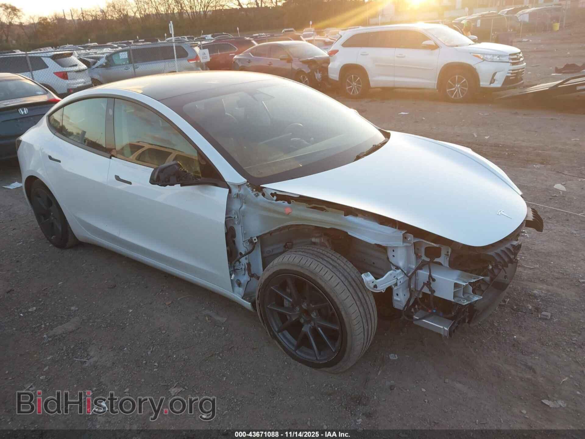 Photo 5YJ3E1EA4MF096275 - TESLA MODEL 3 2021