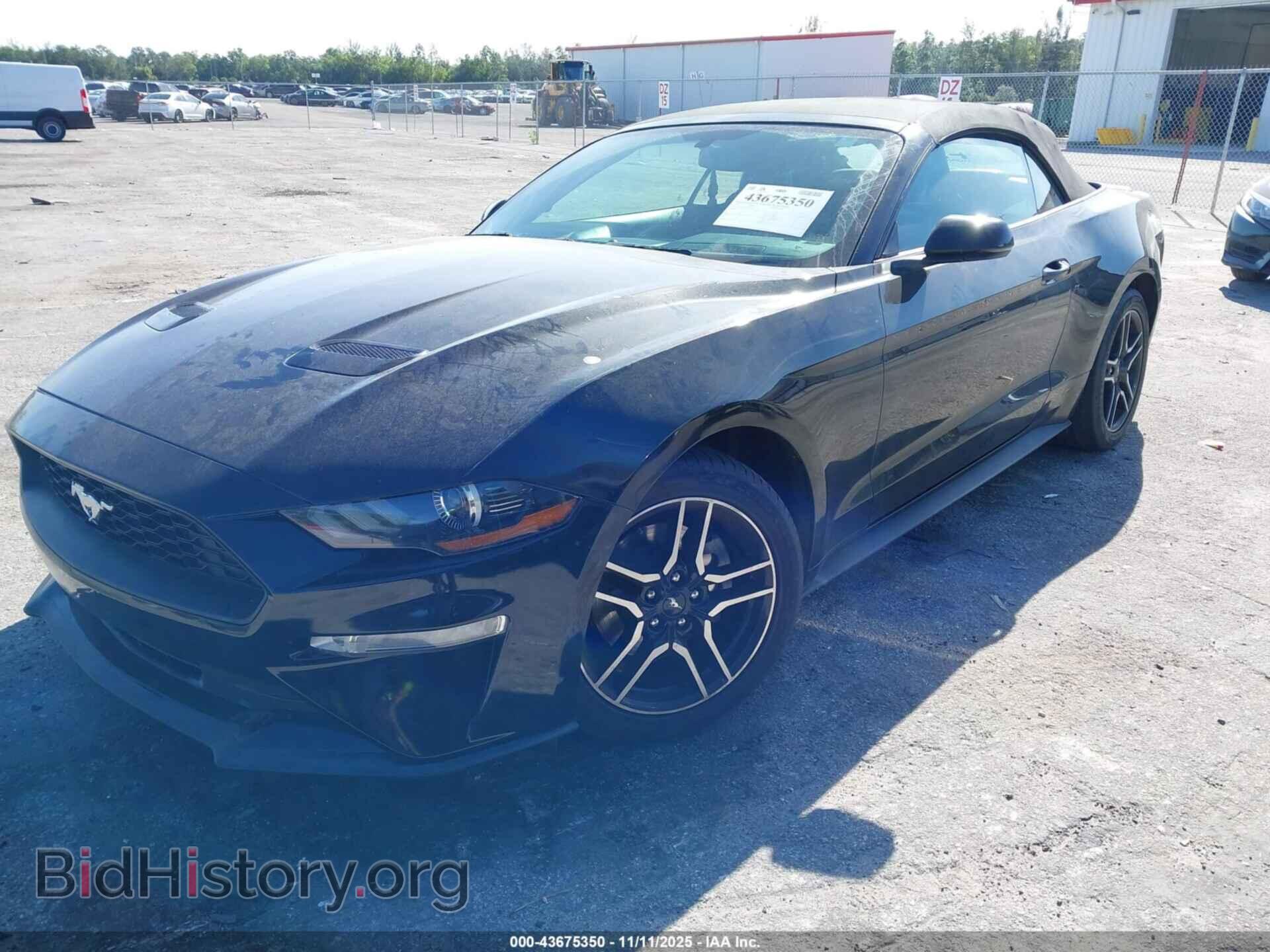 2019 FORD MUSTANG - VIN: 1FATP8UH1K5115533 - Фото 2