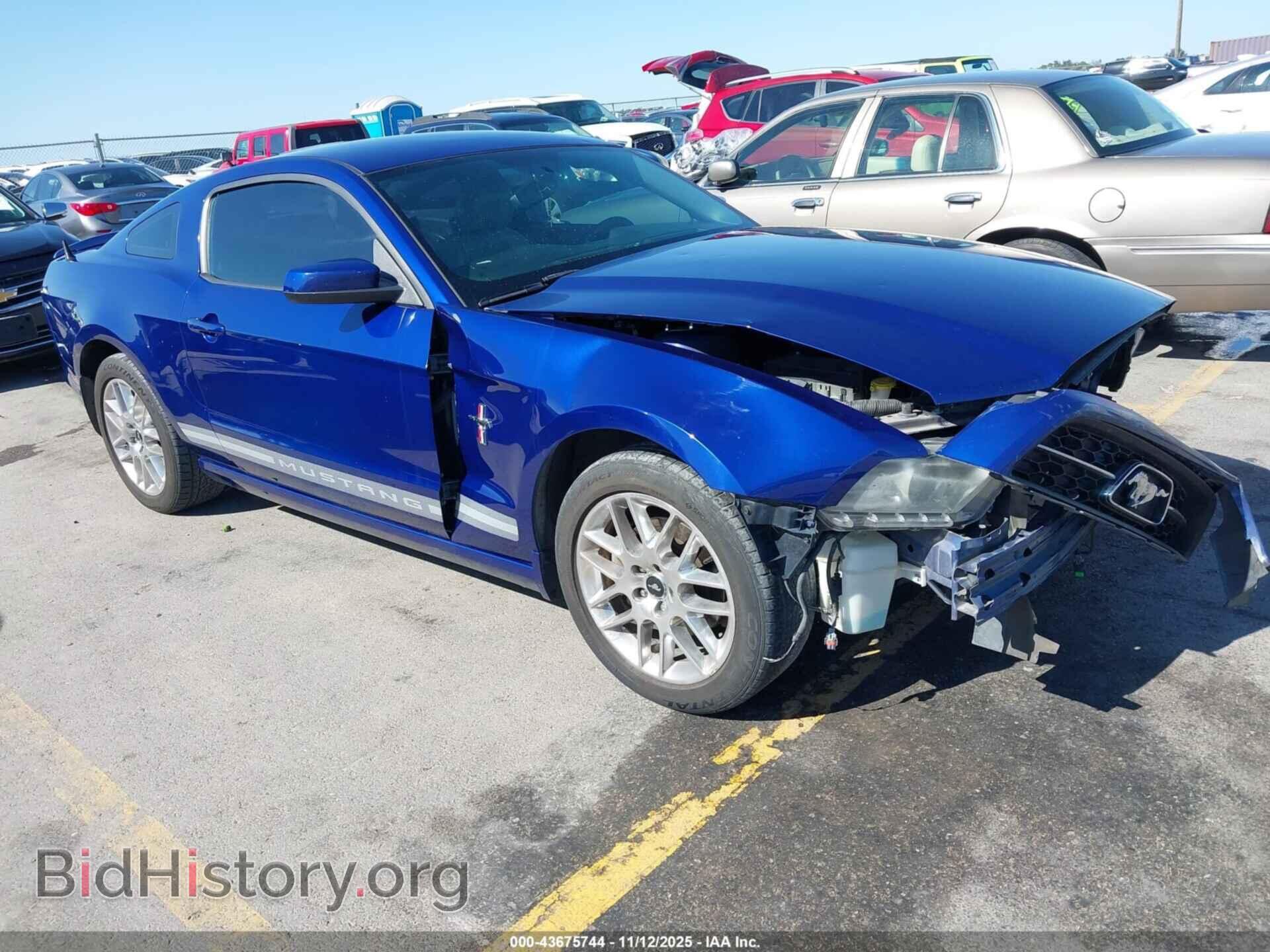 Photo 1ZVBP8AMXD5206288 - FORD MUSTANG 2013