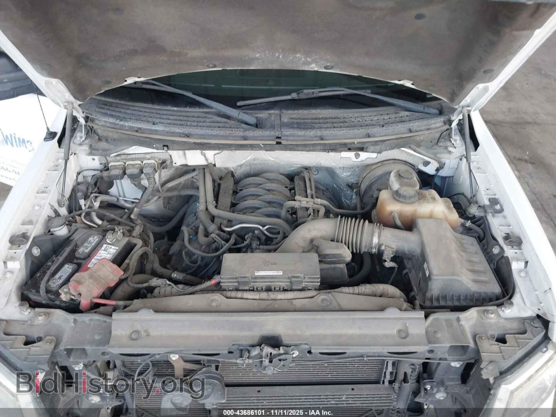 2013 FORD F-150 - VIN: 1FTFW1CF7DFC50448 - Фото 10