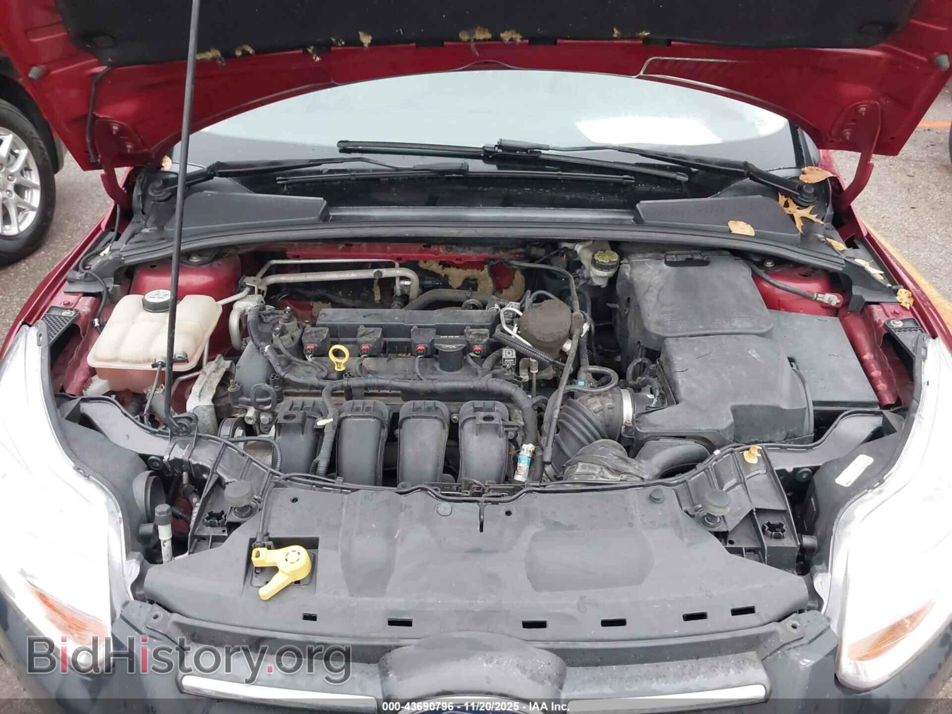 2013 FORD FOCUS - VIN: 1FADP3F20DL313311 - Фото 8