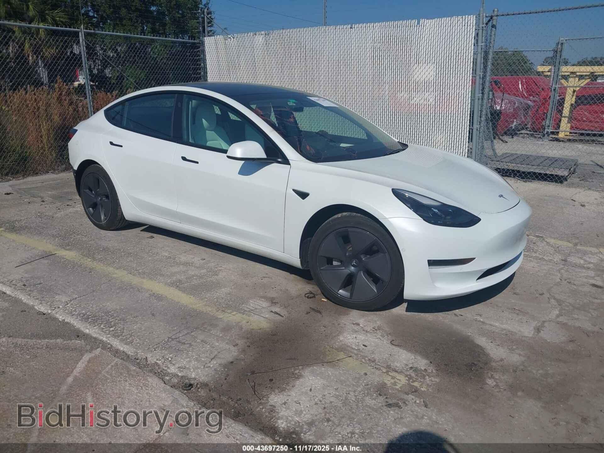 Photo 5YJ3E1EB9MF048490 - TESLA MODEL 3 2021