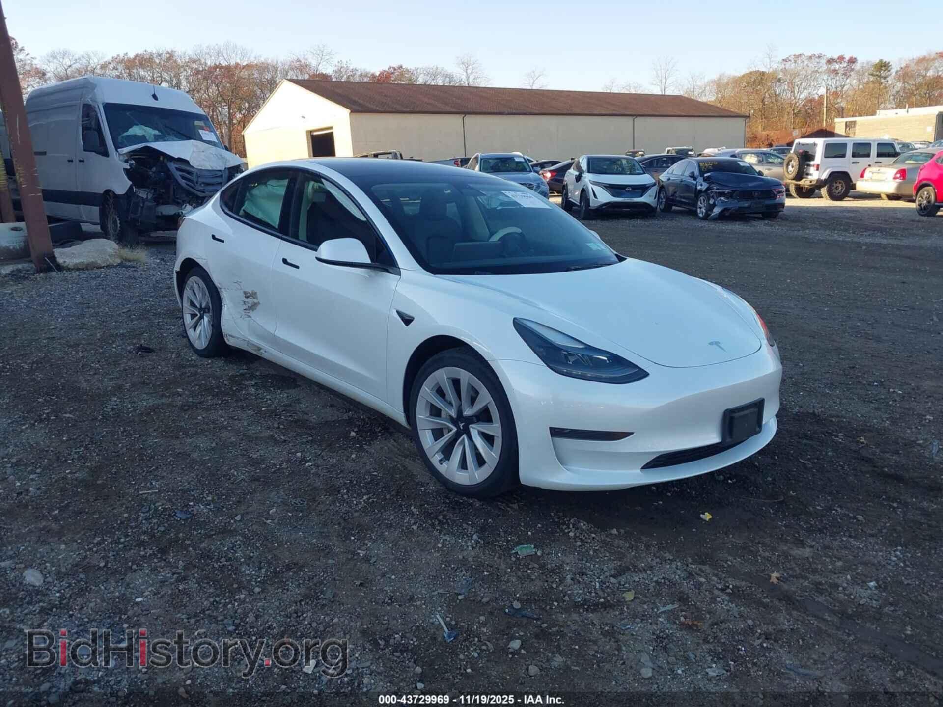 Photo 5YJ3E1EA1PF446739 - TESLA MODEL 3 2023
