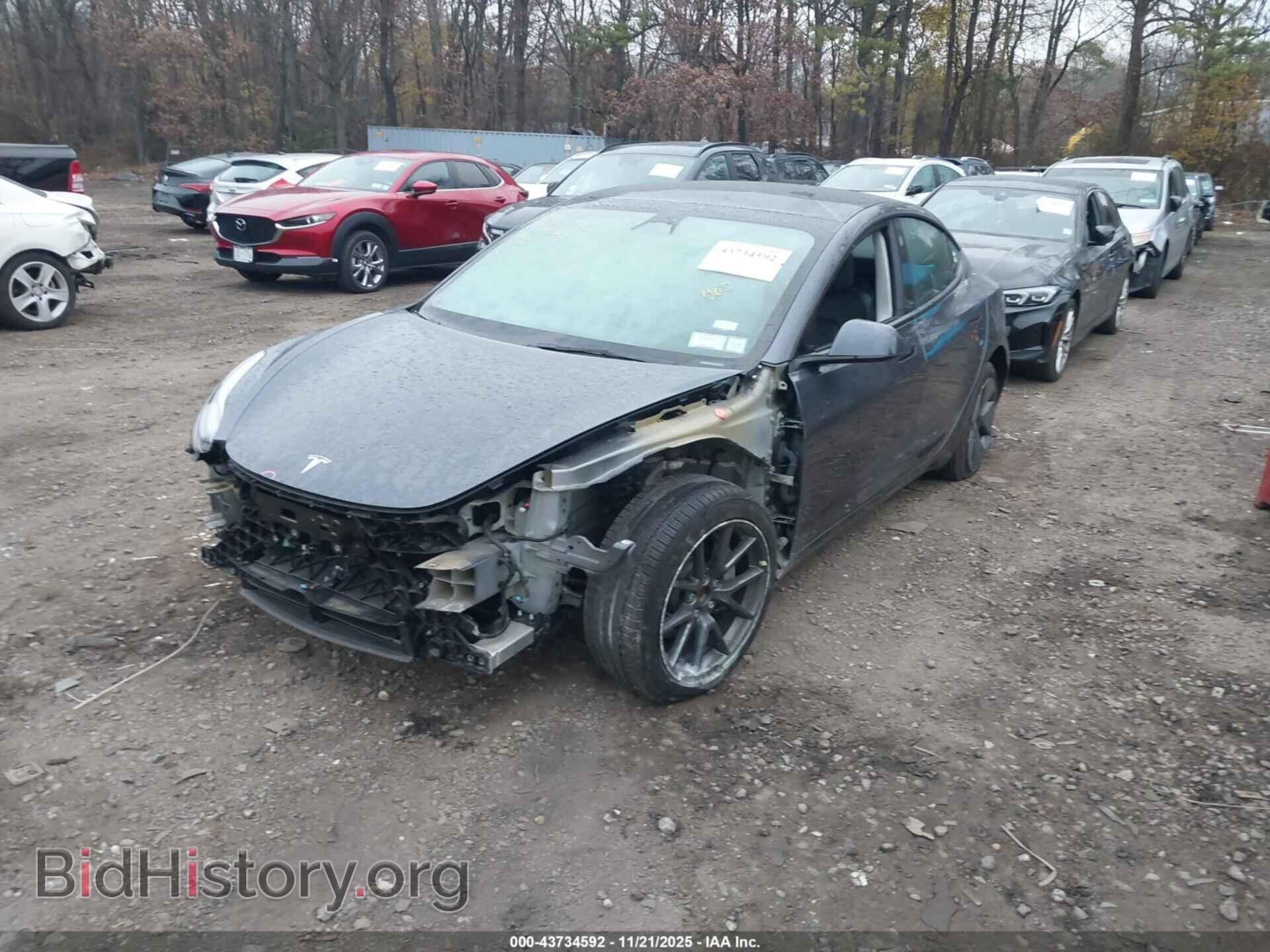 2023 TESLA MODEL 3 - VIN: 5YJ3E1EA5PF395794 - Фото 2