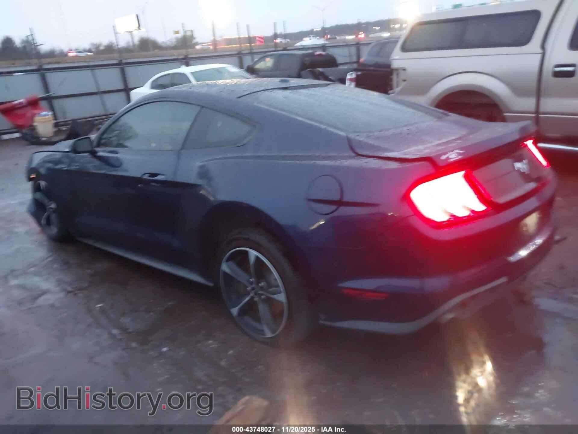 2019 FORD MUSTANG - VIN: 1FA6P8TH4K5202034 - Фото 3