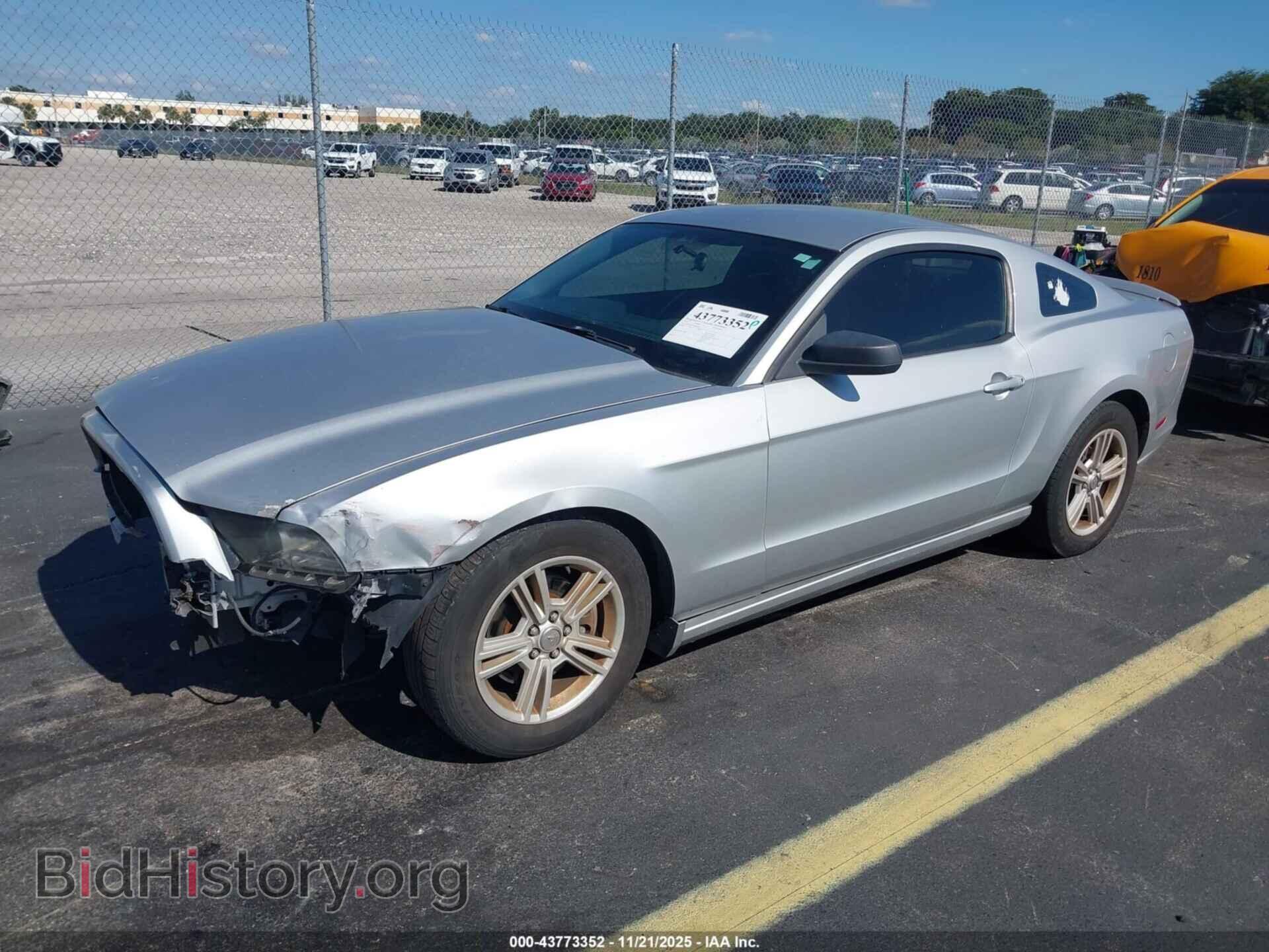 2013 FORD MUSTANG - VIN: 1ZVBP8AM4D5265871 - Фото 2
