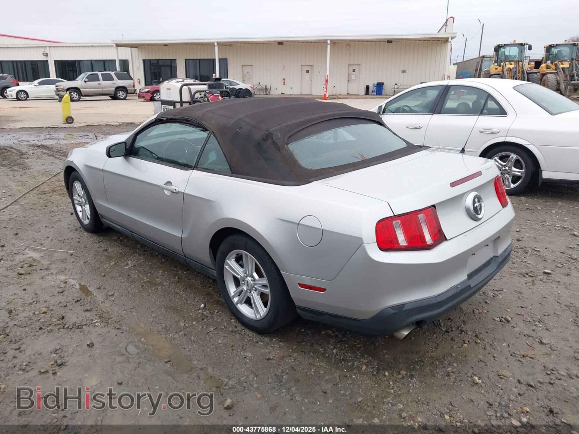 2011 FORD MUSTANG - VIN: 1ZVBP8EM1B5129351 - Фото 3
