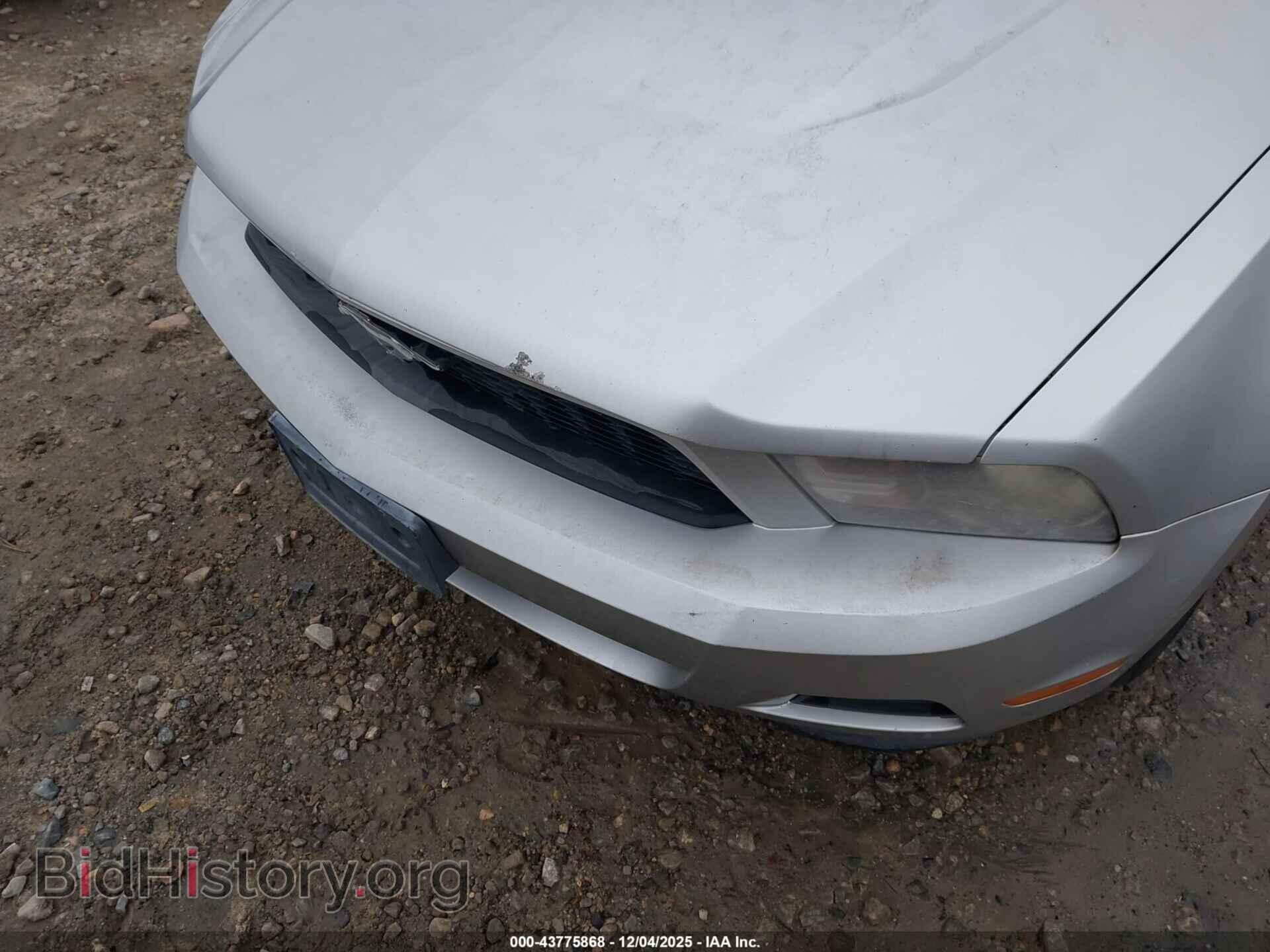2011 FORD MUSTANG - VIN: 1ZVBP8EM1B5129351 - Фото 6