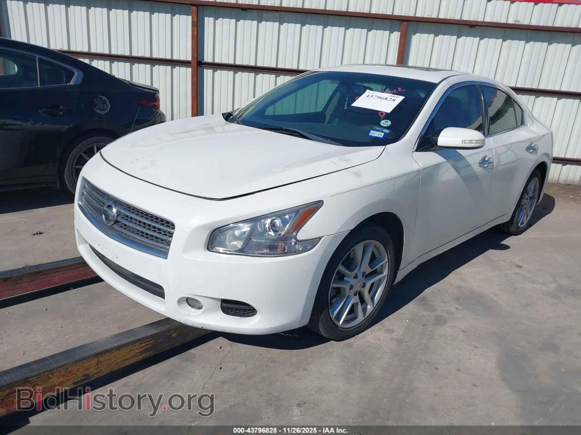 2011 NISSAN MAXIMA - VIN: 1N4AA5AP1BC812800 - Фото 2
