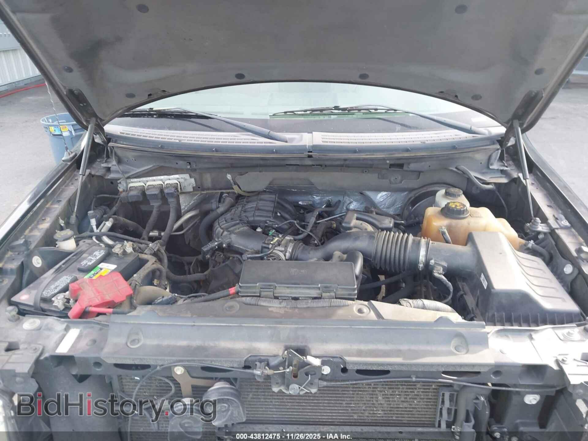 2013 FORD F-150 - VIN: 1FTEW1CM6DKD61686 - Фото 10