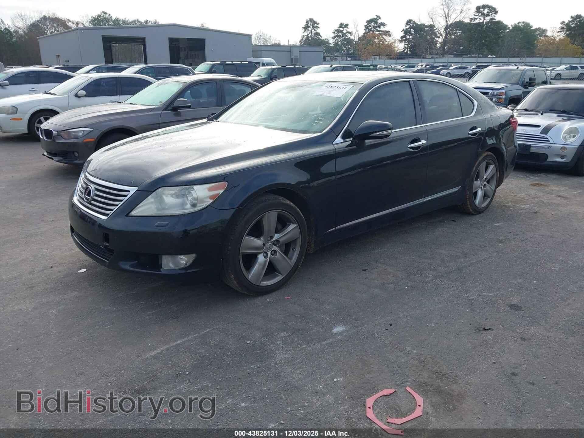2011 LEXUS LS 460 - VIN: JTHBL5EF5B5105096 - Фото 2