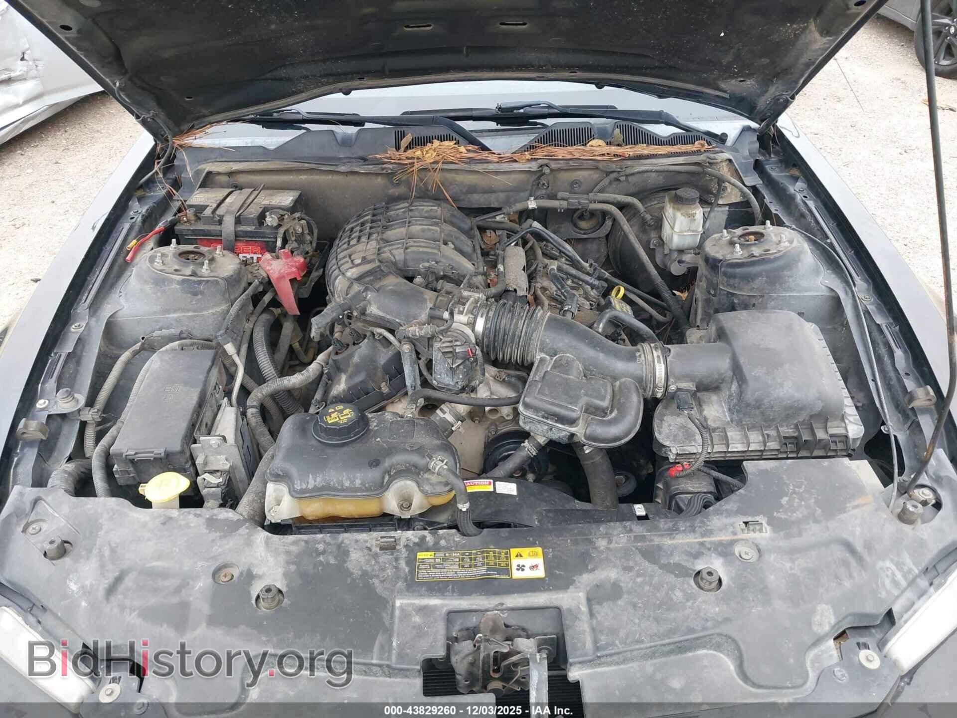2011 FORD MUSTANG - VIN: 1ZVBP8AM7B5149772 - Фото 10