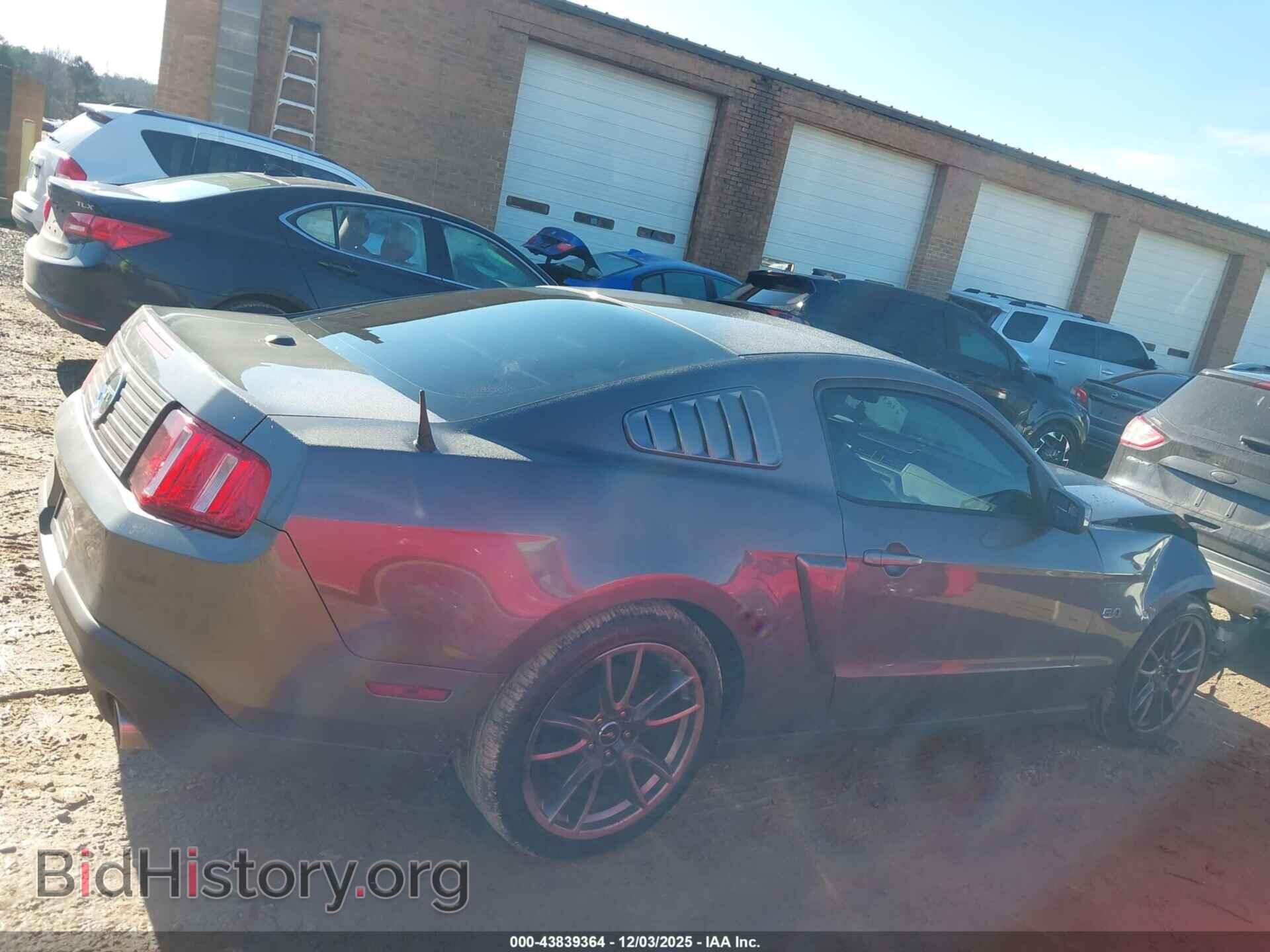 2011 FORD MUSTANG - VIN: 1ZVBP8CF5B5161241 - Фото 13