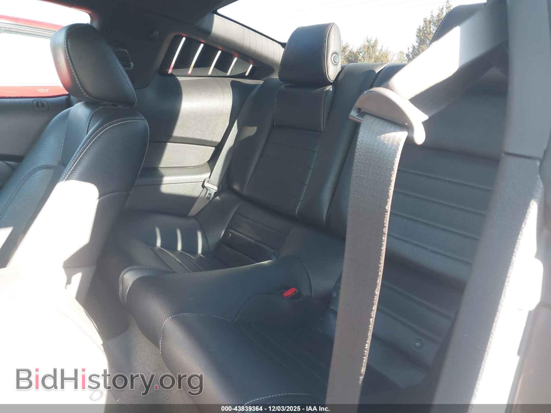 2011 FORD MUSTANG - VIN: 1ZVBP8CF5B5161241 - Фото 8