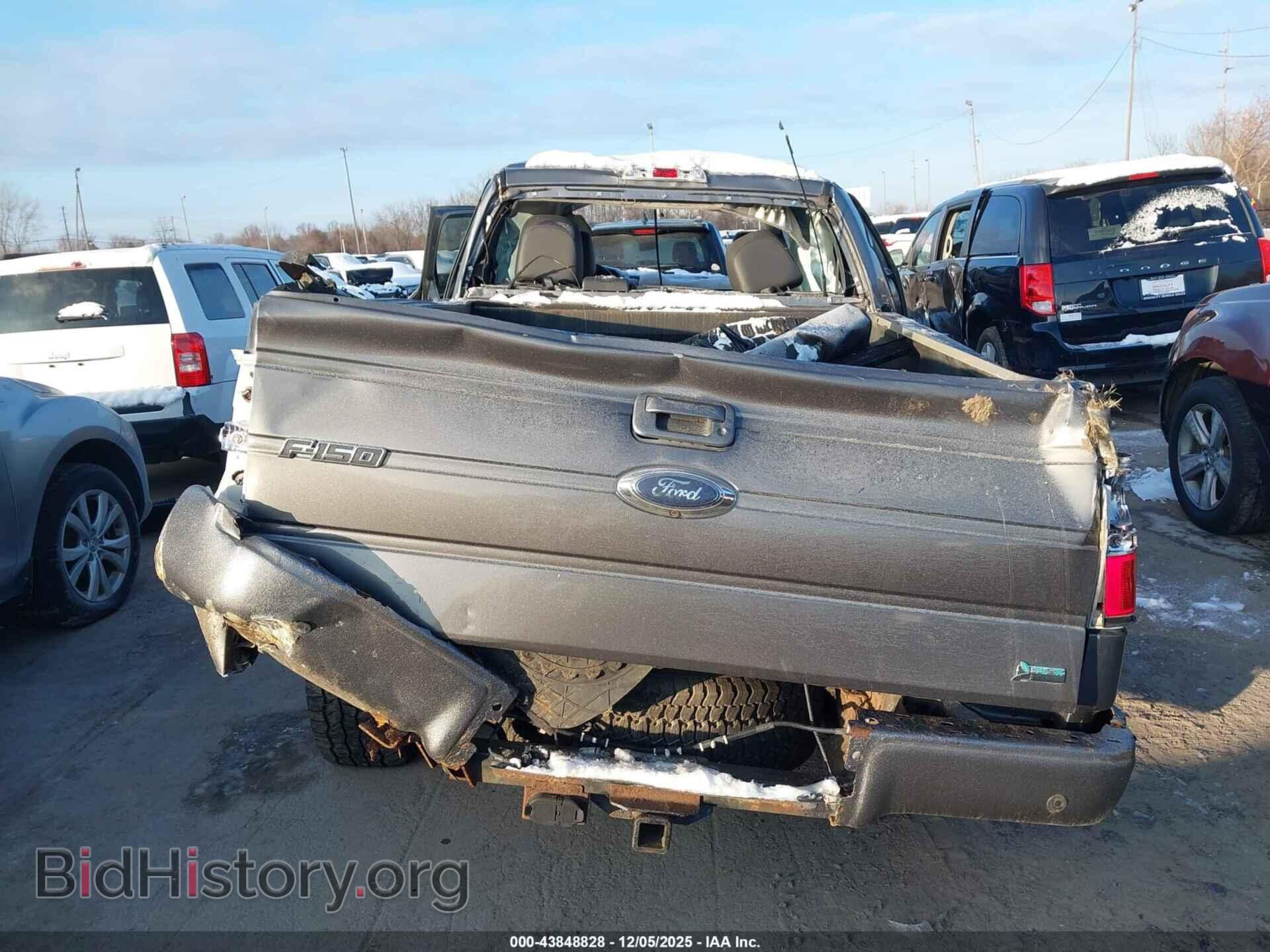 2010 FORD F-150 - VIN: 1FTFW1EV0AFB73650 - Фото 15