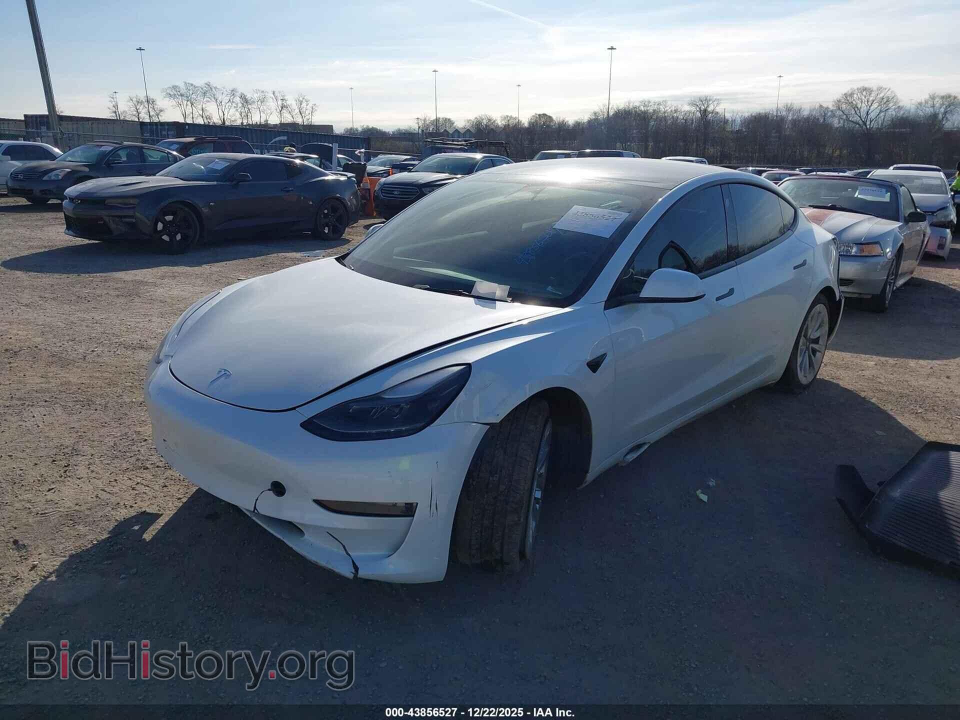 2023 TESLA MODEL 3 - VIN: 5YJ3E1EA8PF541492 - Фото 2