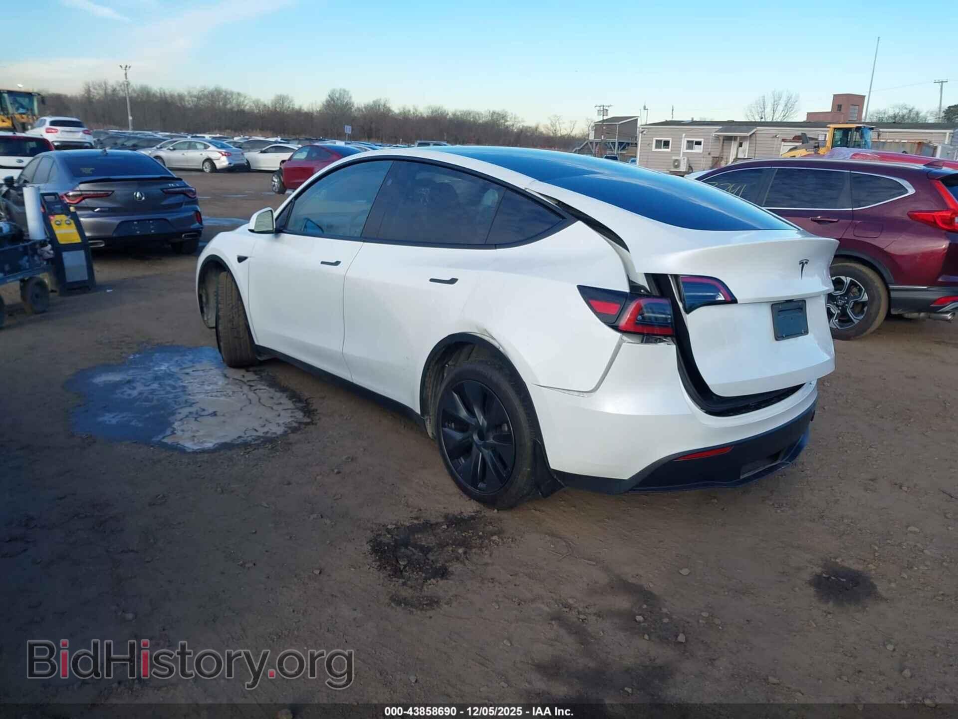 2024 TESLA MODEL Y - VIN: 7SAYGDED2RF160531 - Фото 3