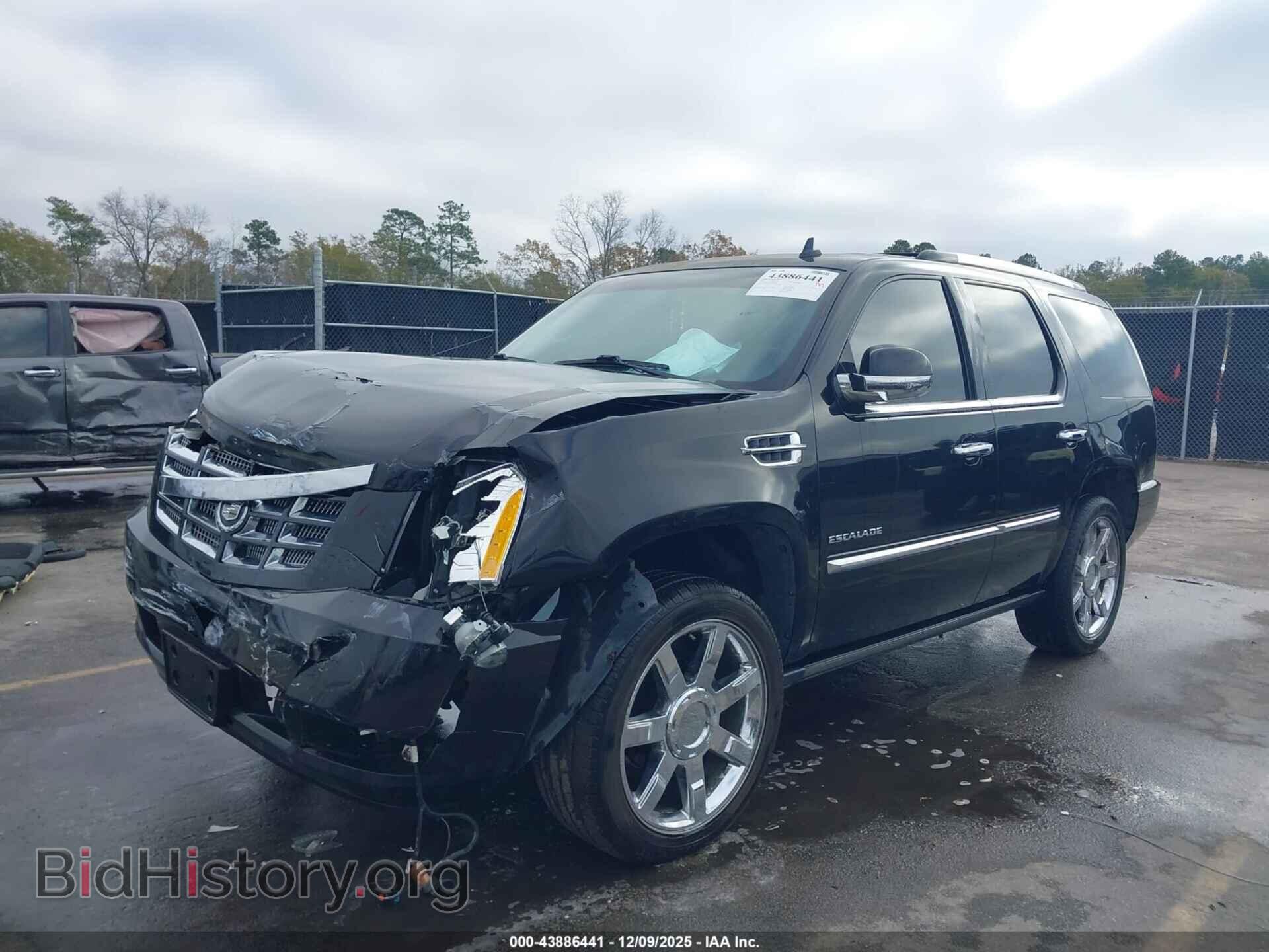2011 CADILLAC ESCALADE - VIN: 1GYS4CEF6BR141983 - Фото 2