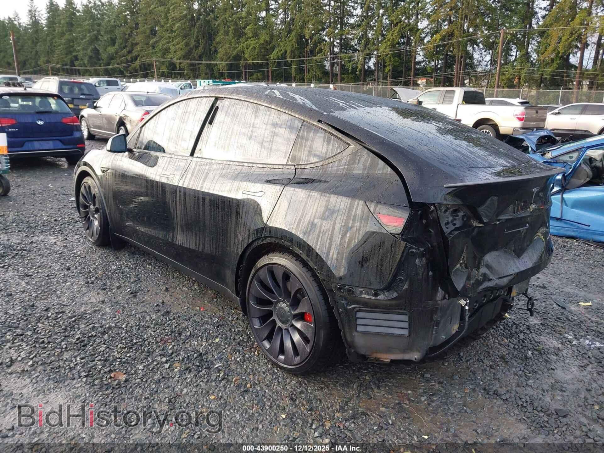 2021 TESLA MODEL Y - VIN: 5YJYGDEF3MF269281 - Фото 3
