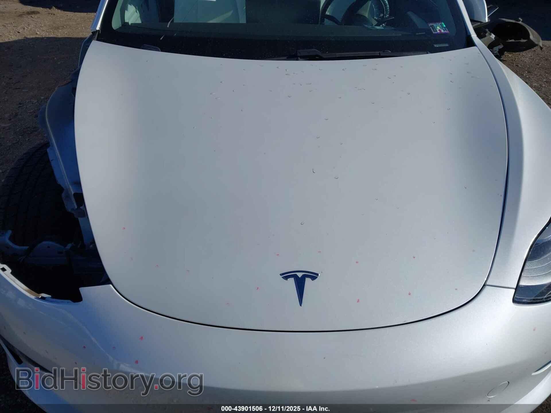 2021 TESLA MODEL 3 - VIN: 5YJ3E1EA4MF029434 - Photo 10
