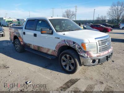 2011 Ford F-150 XLT, white — VIN 1FTFW1EF0BFB11059, IAAI