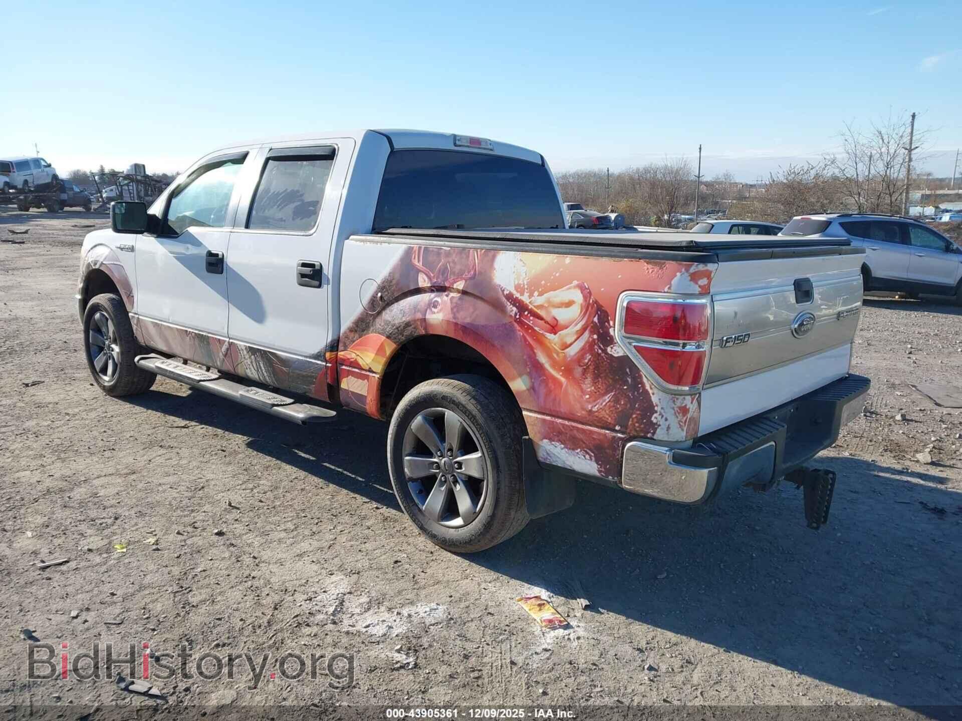 2011 FORD F-150 - VIN: 1FTFW1EF0BFB11059 - Фото 3