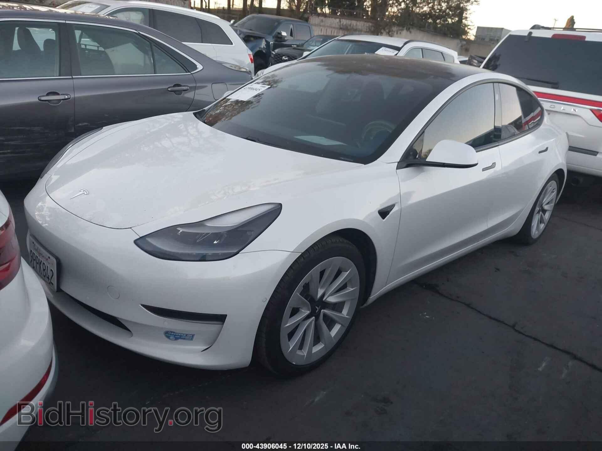 2021 TESLA MODEL 3 - VIN: 5YJ3E1EA1MF065954 - Фото 2