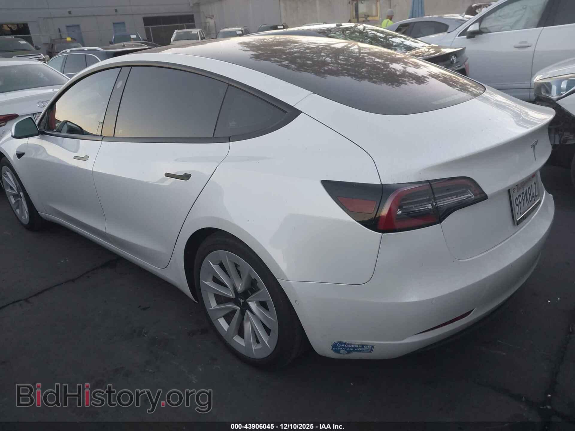 2021 TESLA MODEL 3 - VIN: 5YJ3E1EA1MF065954 - Фото 3