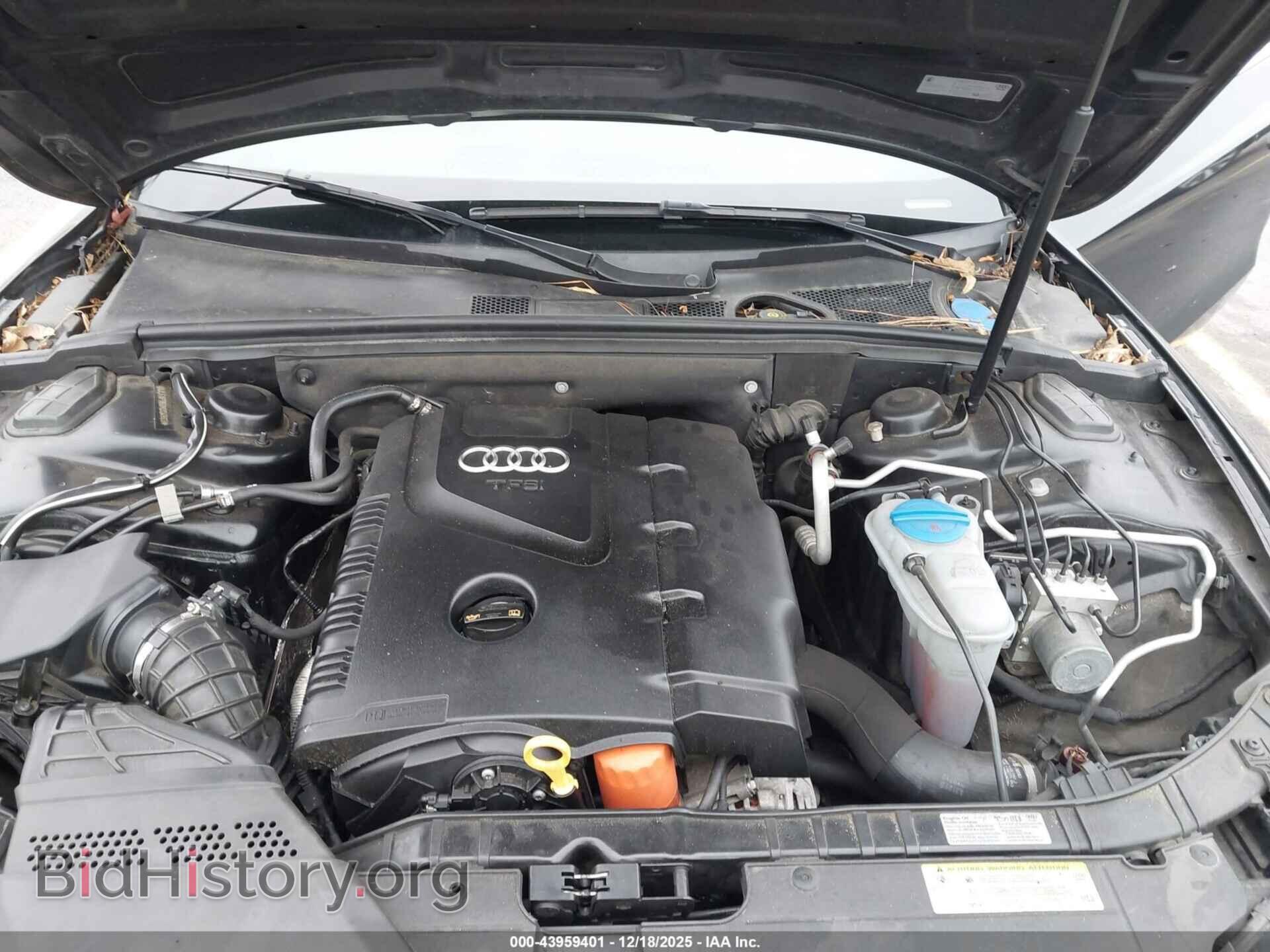 2013 AUDI A5 - VIN: WAULFAFH6DN004803 - Фото 10