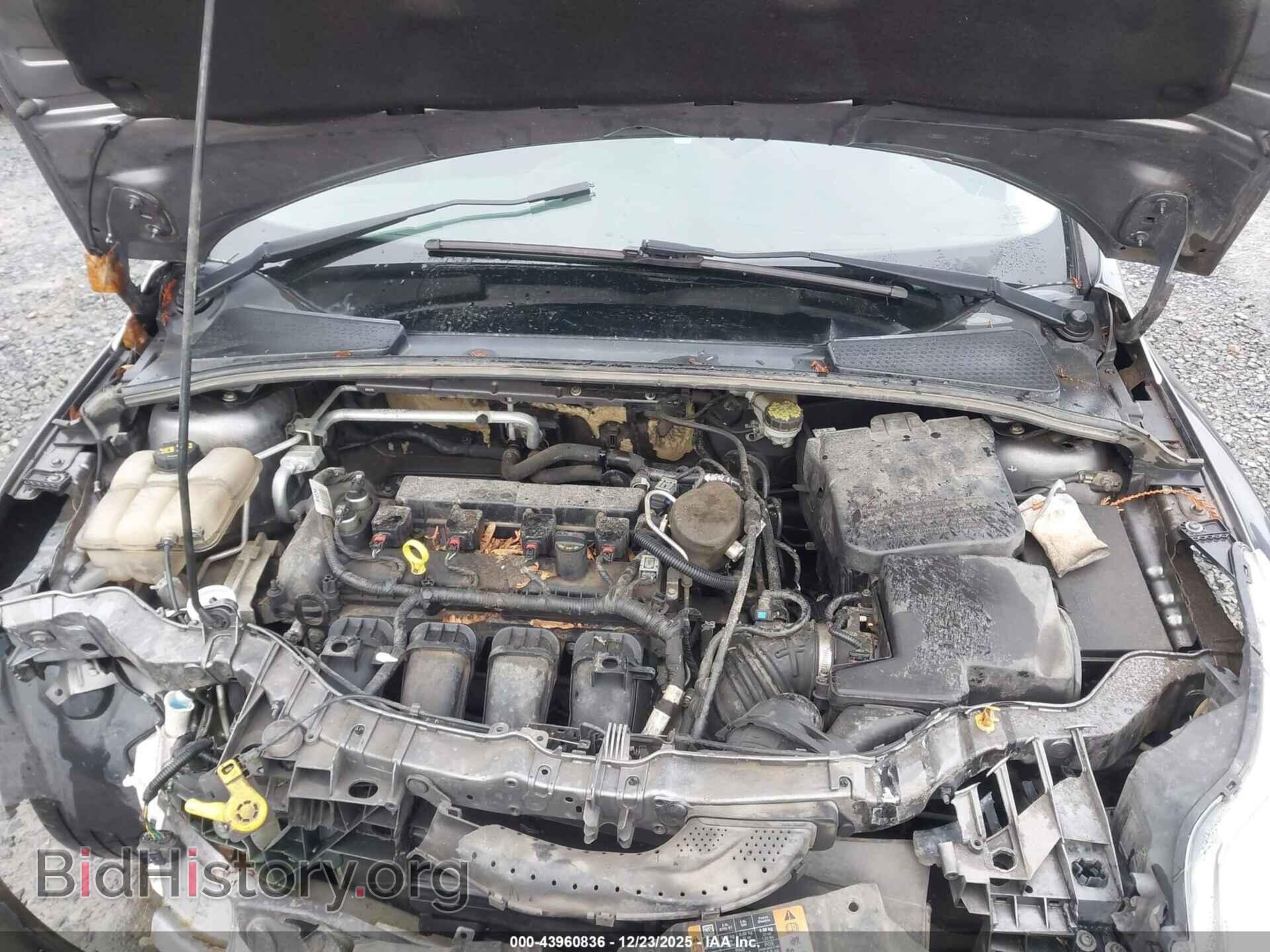 2014 FORD FOCUS - VIN: 1FADP3F23EL414635 - Photo 10