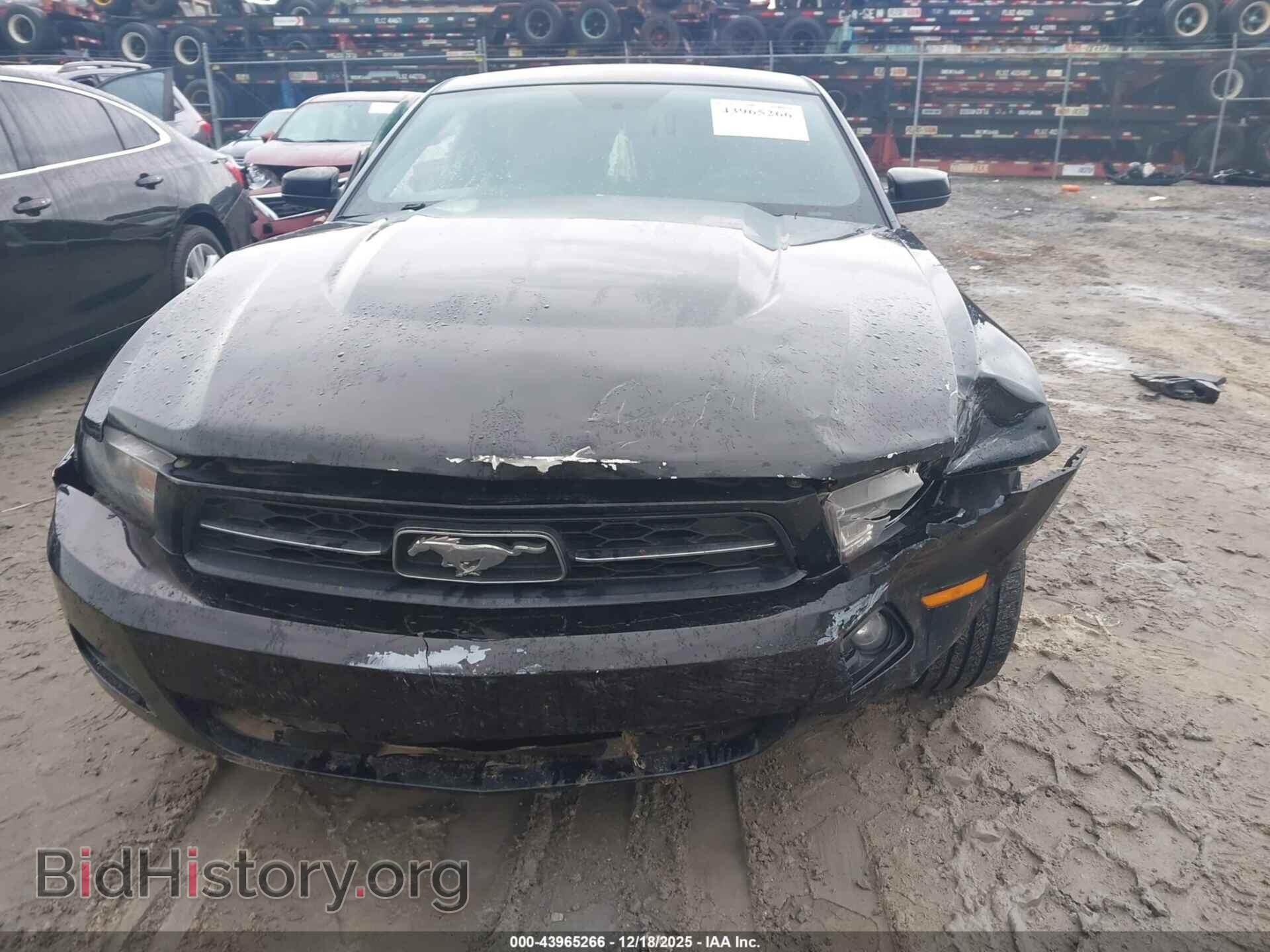 2012 FORD MUSTANG - VIN: 1ZVBP8AM5C5266073 - Фото 6