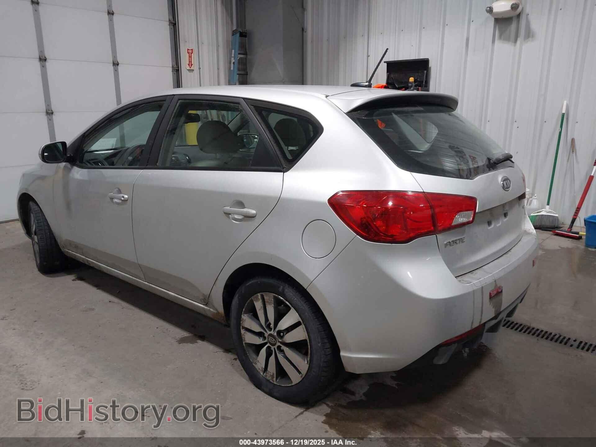 2013 KIA FORTE - VIN: KNAFU5A23D5681885 - Фото 3