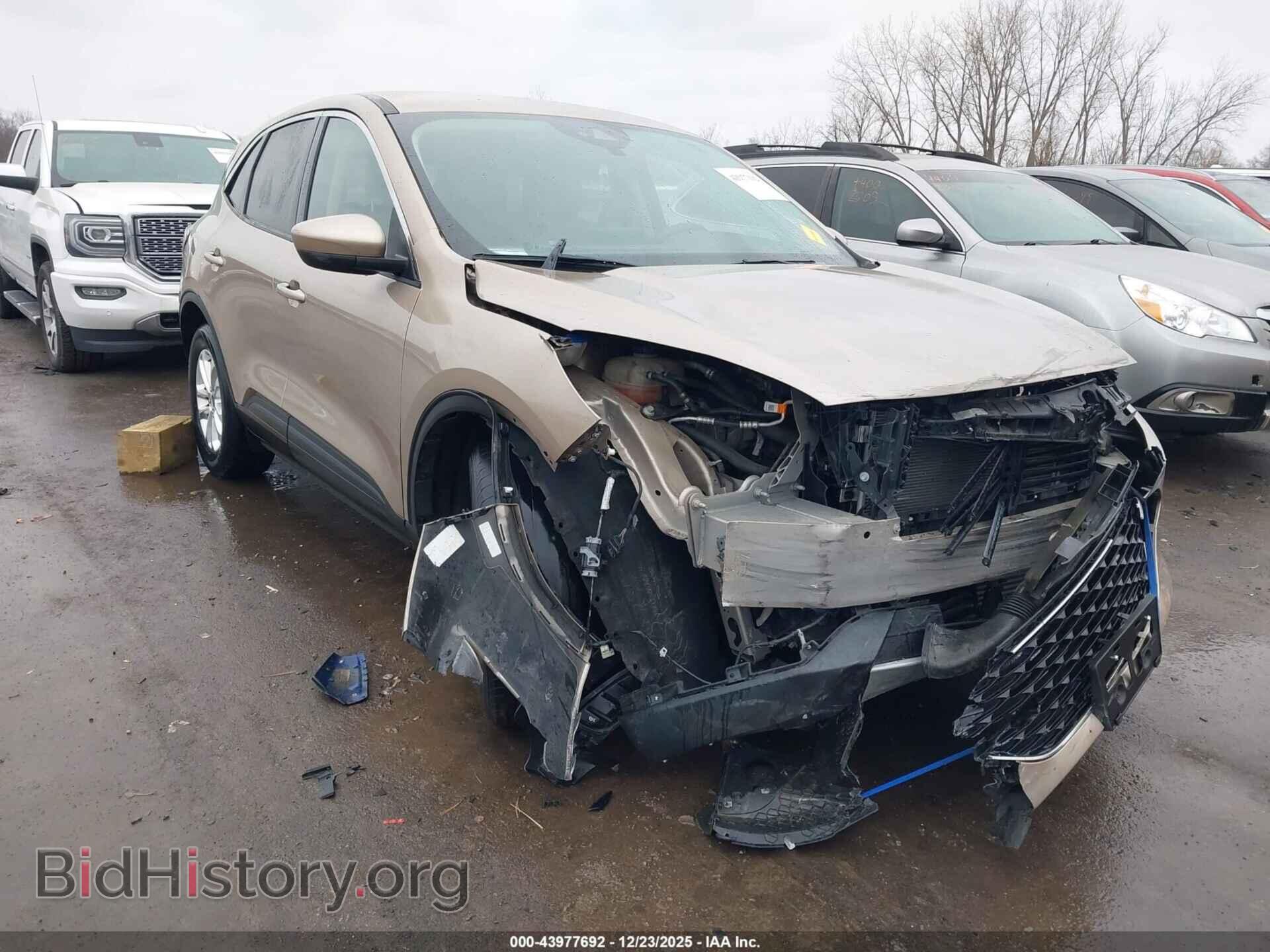 Photo 1FMCU9G64LUA44480 - FORD ESCAPE 2020