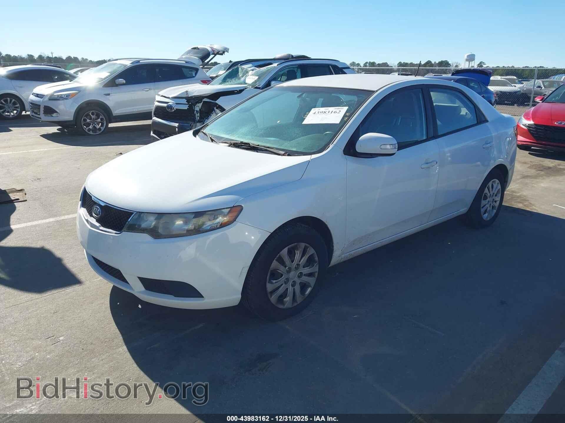 2010 KIA FORTE - VIN: KNAFU4A23A5177357 - Фото 2
