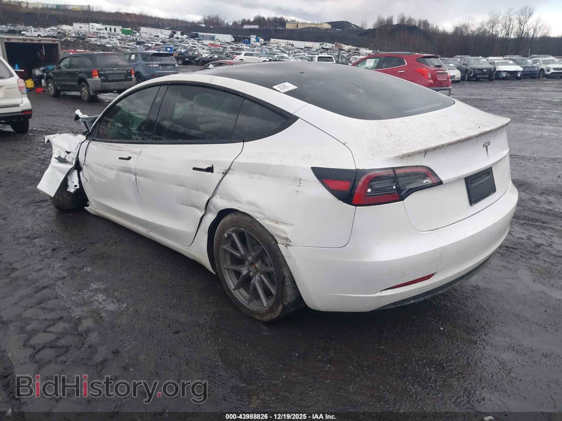 2023 TESLA MODEL 3 - VIN: 5YJ3E1EA2PF625162 - Фото 3
