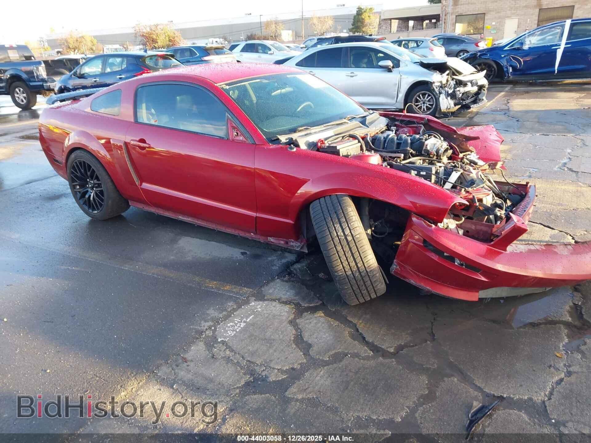 Фотография 1ZVHT82H585145249 - FORD MUSTANG 2008